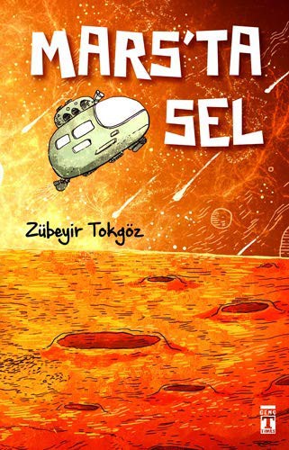 Mars'ta Sel