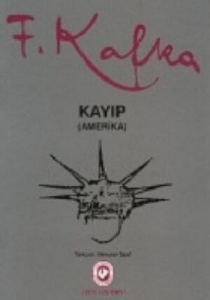 Kayıp Amerika