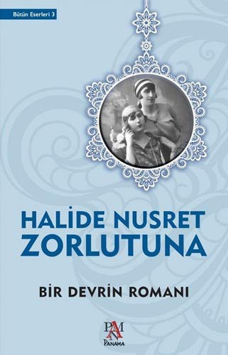 Bir Devrin Romanı