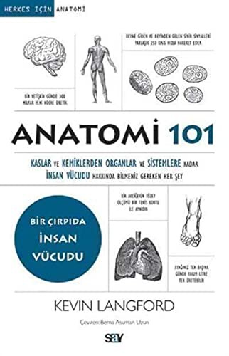 12199164-L.jpg Anatomi 101; Kaslar ve Kemiklerden Organlar ve Sistemlere kadar İnsan Vücudu Hakkında Bilmeniz Gereken Her Şey