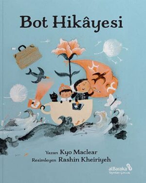 Bot Hikayesi