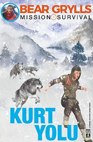 Kurt Yolu