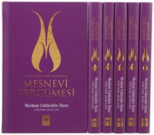 Mesnevi Tercümesi