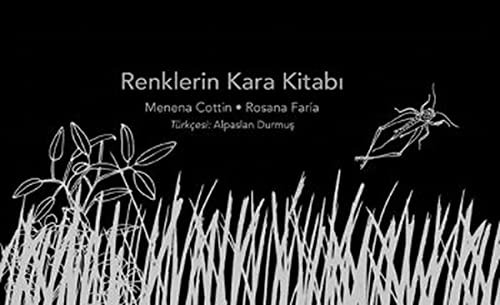 Renklerin Kara Kitabı