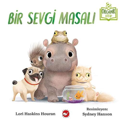 Bir Sevgi Masalı