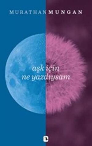 Aşk için Ne Yazdıysam