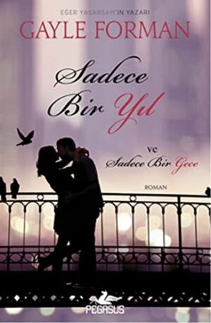 Sadece Bir Yıl; Sadece Bir Gece