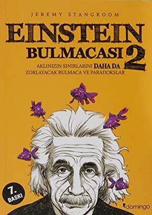 Einstein Bulmacası 2