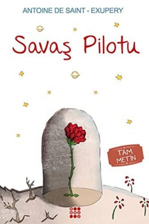 Savaş Pilotu