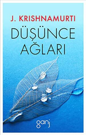 Düşünce Ağları