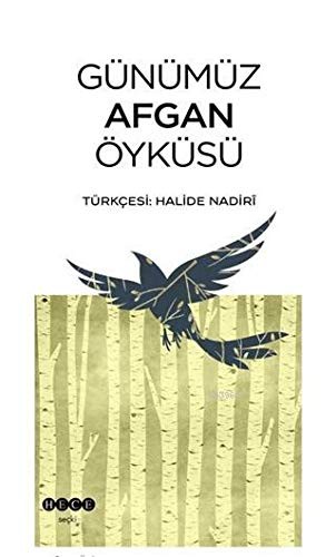 Günümüz Afgan Öyküsü