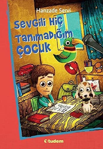 Sevgili Hiç Tanımadığım Çocuk