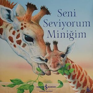 Seni Seviyorum Miniğim; İçeride Serüven Var!