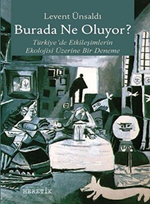 Burada Ne Oluyor?; Türkiye'de Etkileşimlerin Ekolojisi Üzerine Bir Deneme