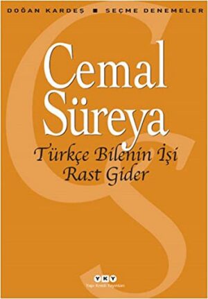 Türkçe Bilenin İşi Rast Gider; Seçme Denemeler