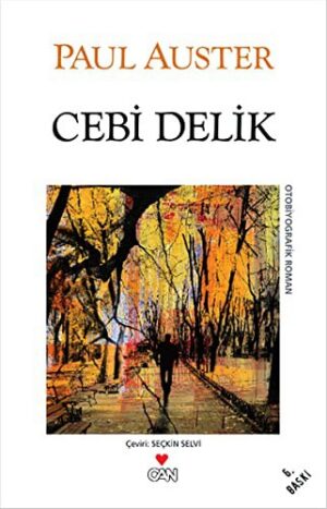 Cebi Delik