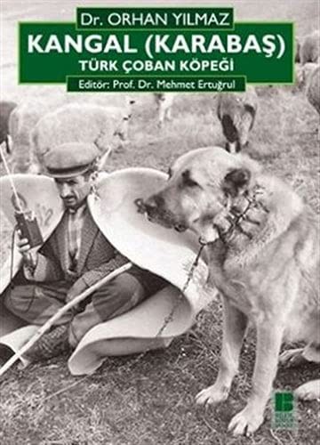 Kangal (karabaş); Türk Çoban Köpeği