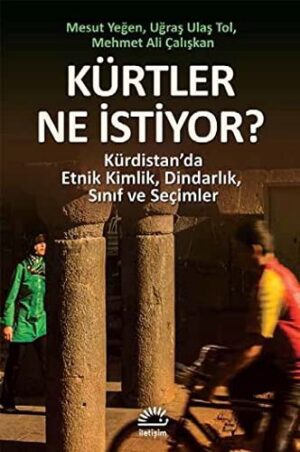 Kürtler Ne İstiyor?; Kürdistan'da Etnik Kimlik, Dindarlık, Sınıf ve Seçimler