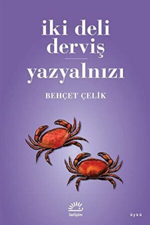 İki Deli Derviş - Yazyalnızı