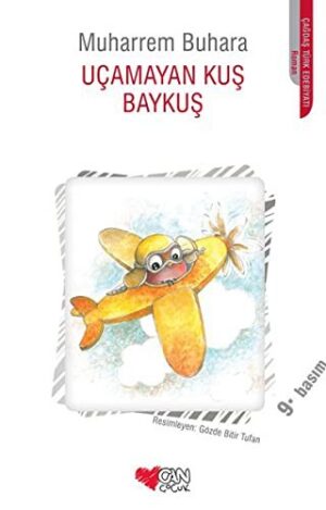 Uçmayan Kuş Baykuş