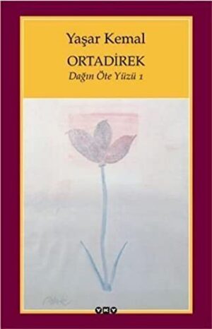 Ortadirek; Dağın Öte Yüzü 1
