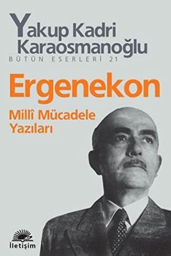 Ergenekon; Milli Mücadele Yazıları