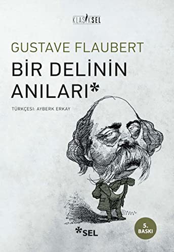 Bir Delinin Anıları