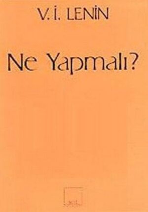 Ne Yapmalı? Hareketimizin Canalıcı Sorunları