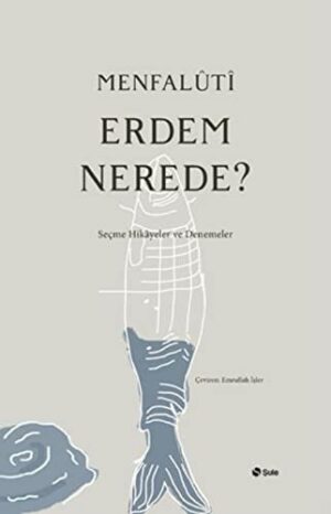 Erdem Nerede