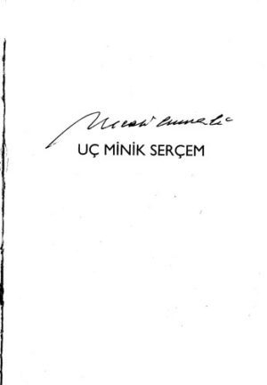 Uç Minik Serçem; Bütün Eserleri