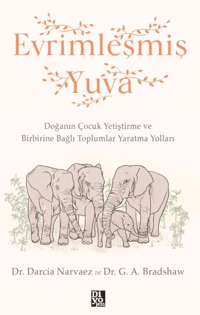 Evrimleşmiş Yuva