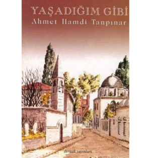 Yaşadığım Gibi