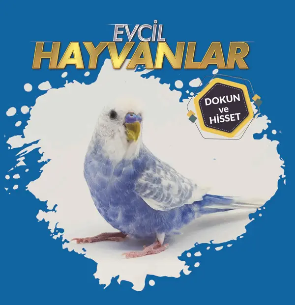 9786053034186.webp Evcil Hayvanlar – Dokun Ve Hisset