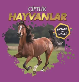 Çiftlik Hayvanları – Dokun Ve Hisset