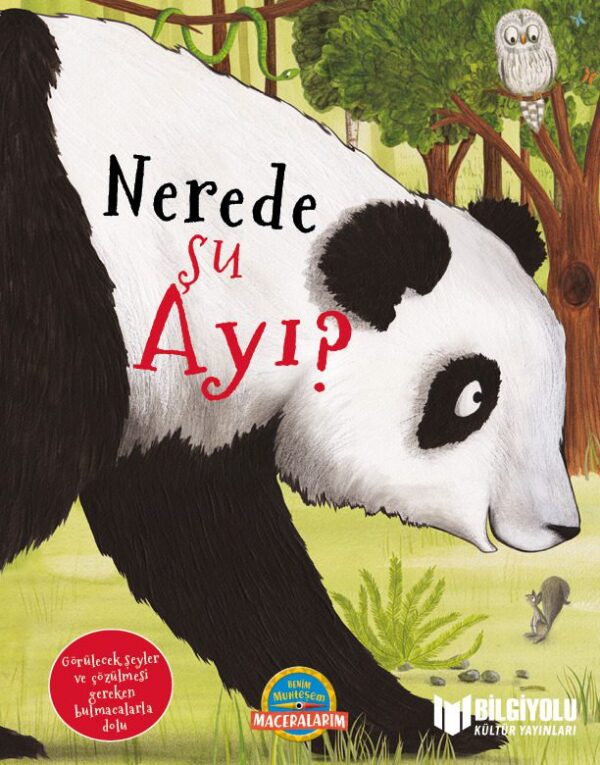 Nerede Şu Ayı ? (Sert Kapak)