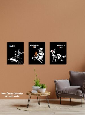 One Piece Sabo - Ace - Luffy HD Metal Poster Seti 3’lü