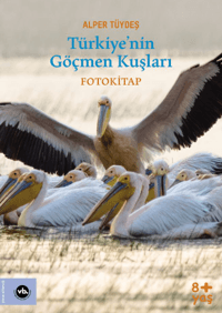 Türkiyenin Göçmen Kuşları - Fotokitap