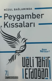 Nüzul Bağlamında Peygamber Kıssaları Bana Ne Diyor?