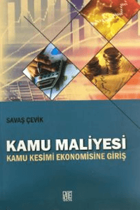 Kamu Maliyesi; Kamu Kesimi Ekonomisine Giriş